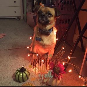 Meet your Posher, Montford